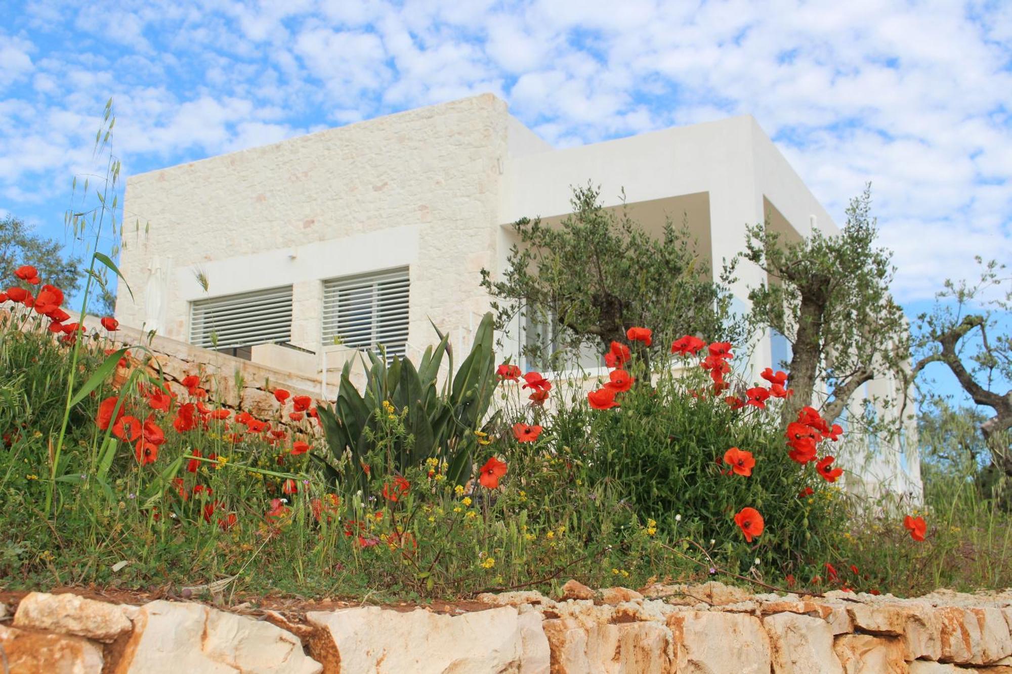 Feudi Mandolivo Bed & Breakfast Ostuni Exterior foto